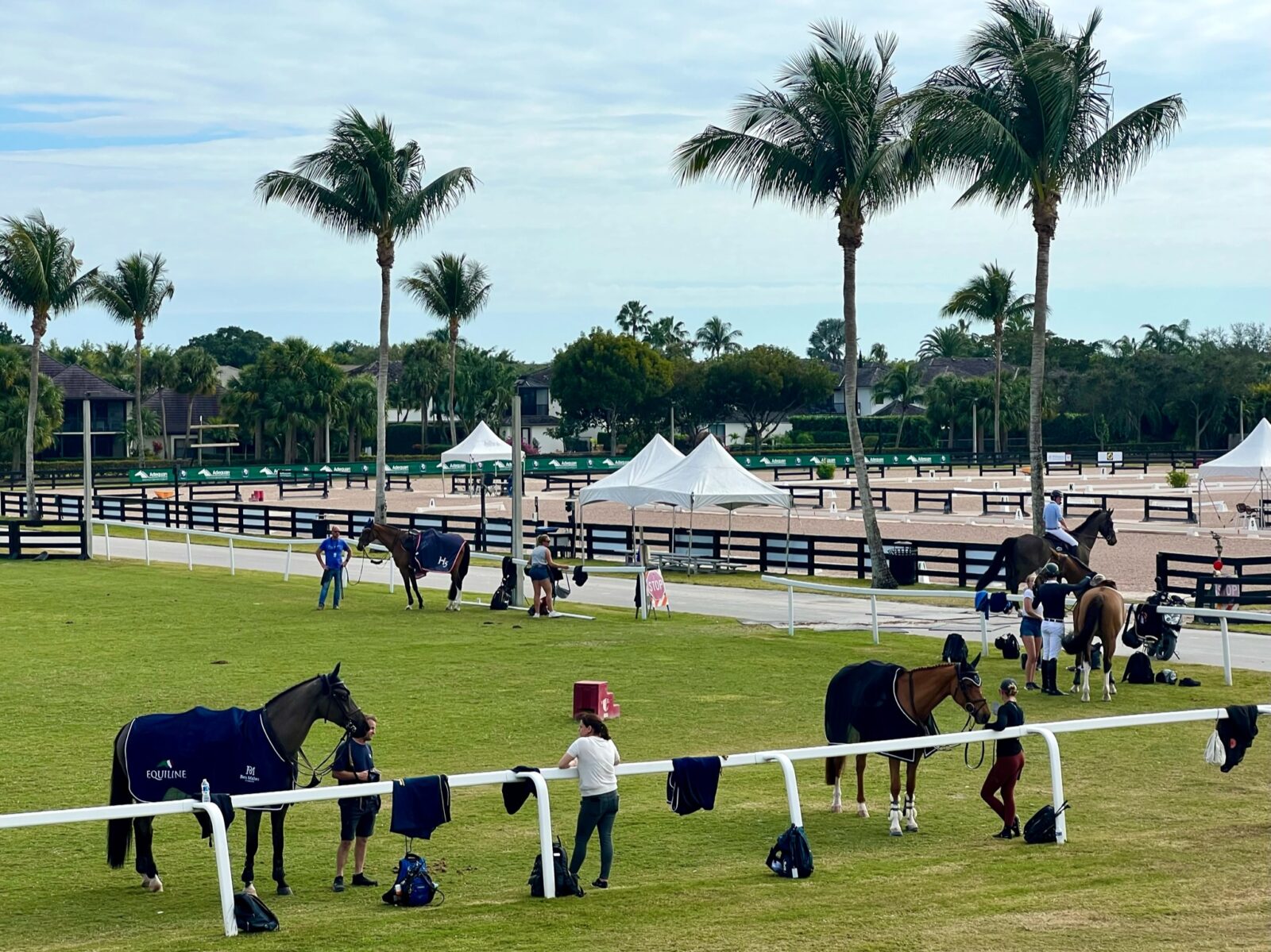 Ten Questions to Ask Before Taking an Equine Job