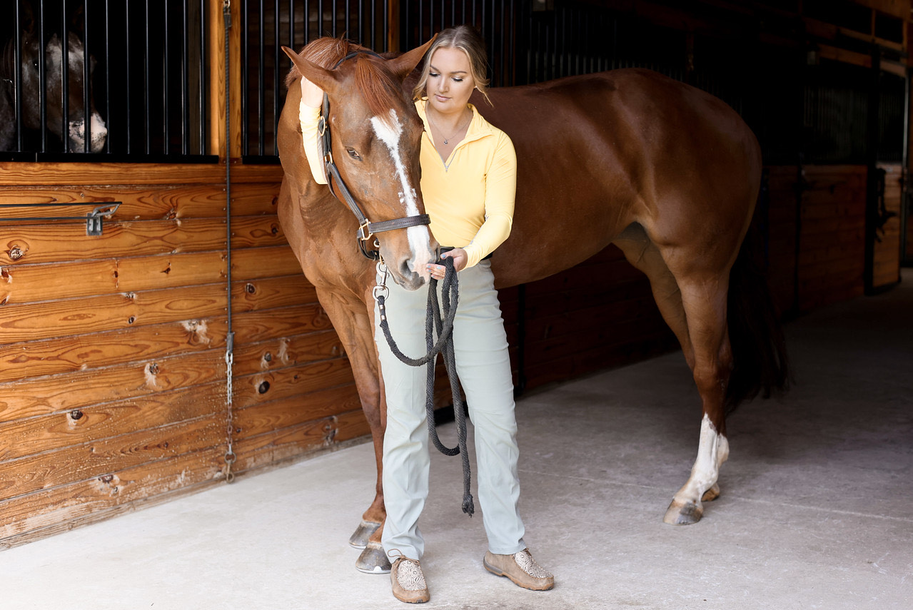 A flexible approach to bodywork and the equine industry