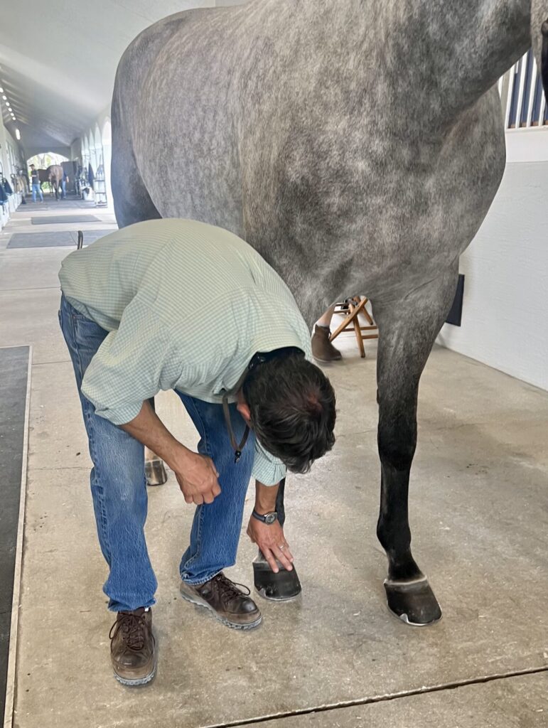 El renombrado veterinario equino Kit Miller explica los entresijos de un examen de cojera.