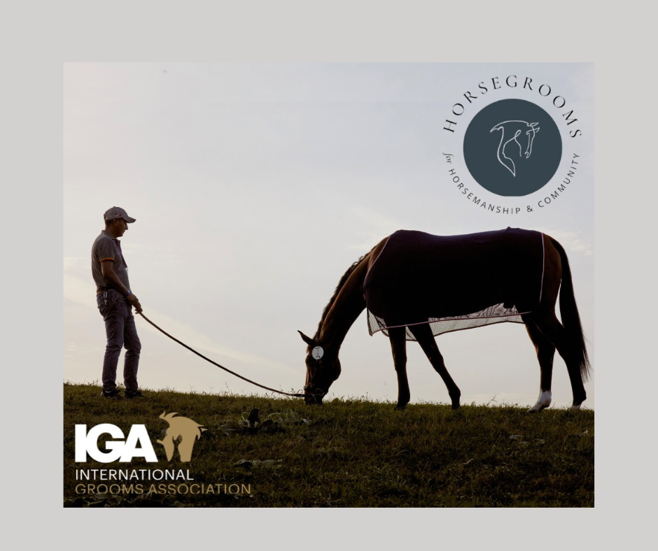 HorseGrooms and the International Grooms Association (IGA) join forces
