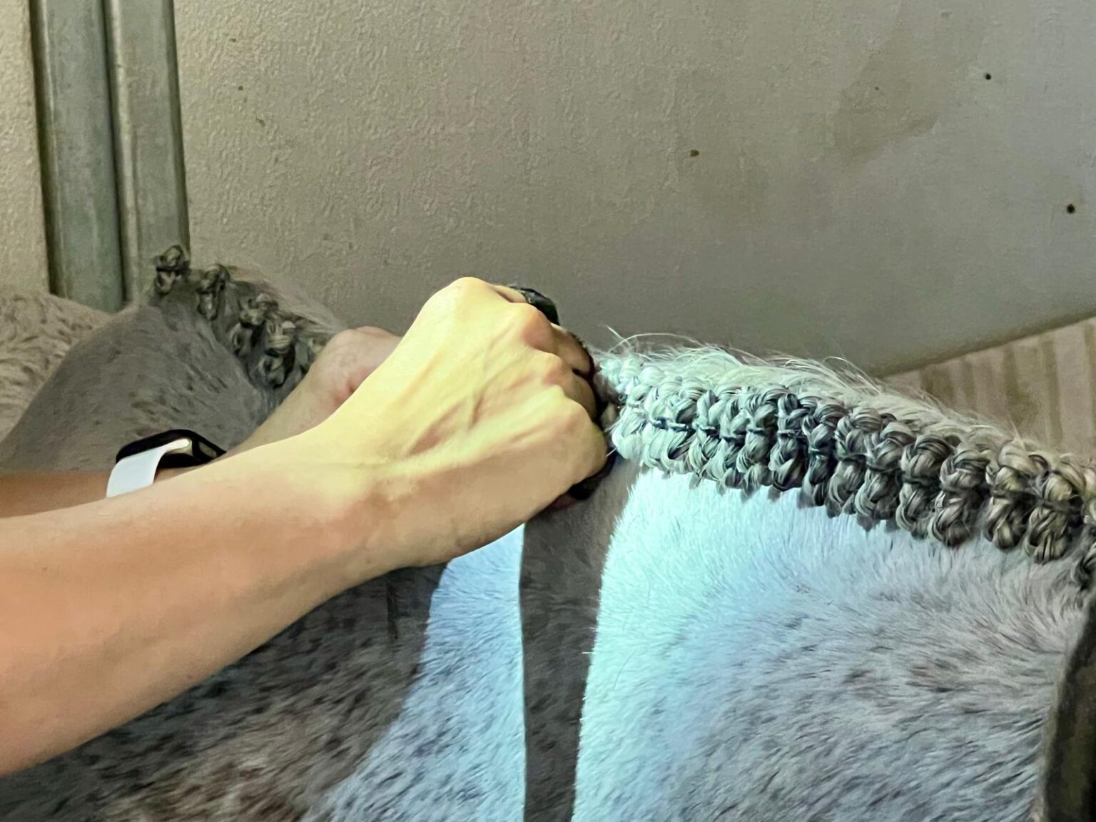 How To Do Hunter Braids With Mary Barton - horsegrooms.com