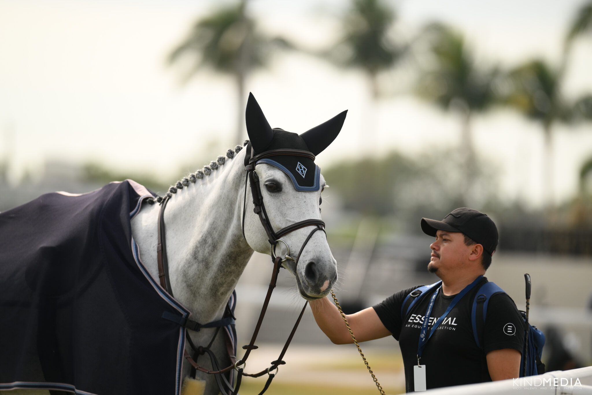 Instagrooms: Revolutionizing the Equestrian Industry - horsegrooms.com