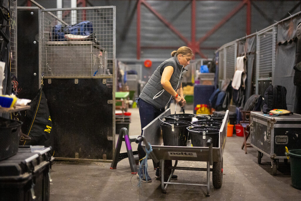 Best Show Jumping Groom at Indoor Friesland 2024