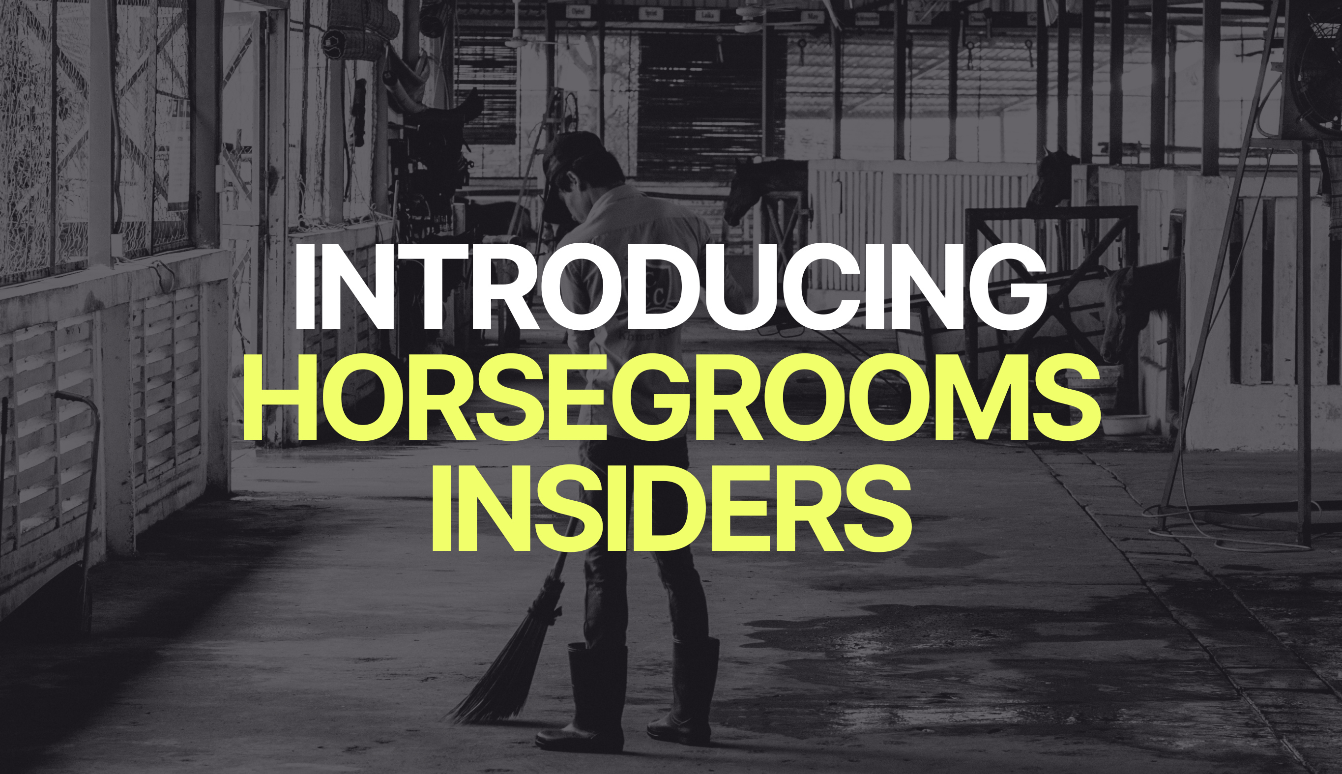 Introducing HorseGrooms Insiders Membership