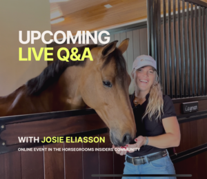 HorseGrooms Insiders Q&A with Josie Eliasson