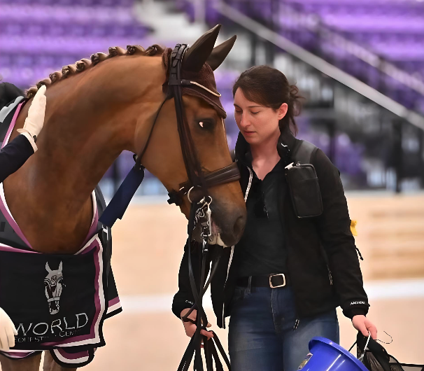 Marina Lemay Enjoys the Quirks and Travel of Top Level Dressage Grooming