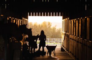 Grooms working in a barn