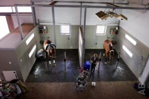 Grooms working in barn