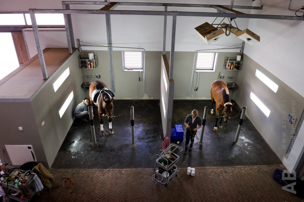 Grooms working in barn