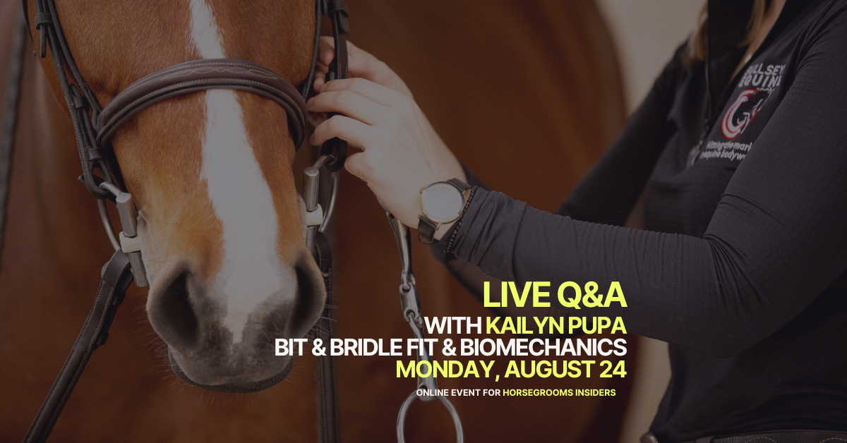 Bit & Bridle fitting