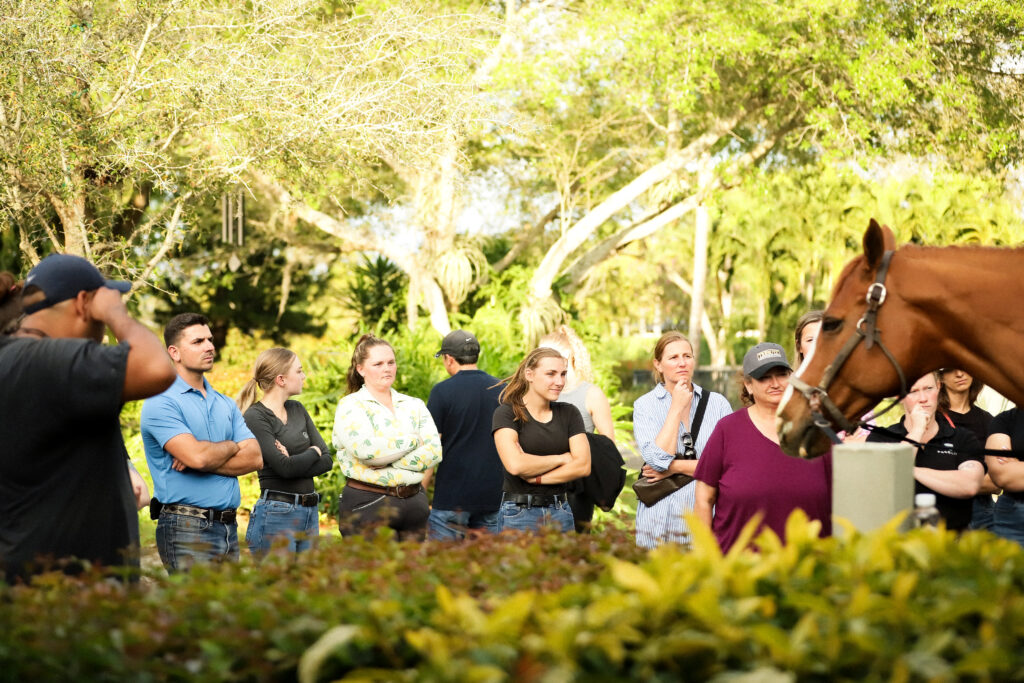 @viktoriia_luzan_photography