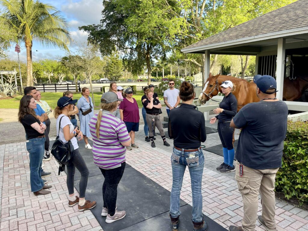 @viktoriia_luzan_photography