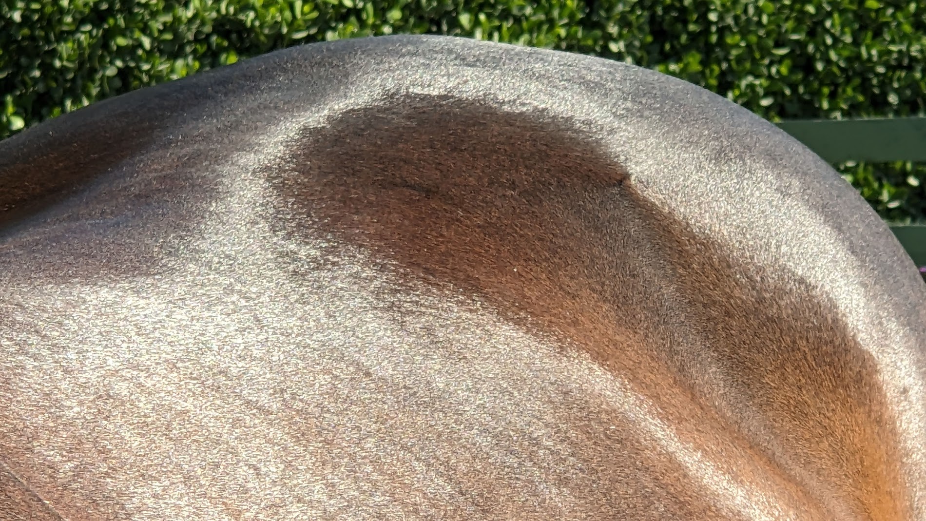 HorseGrooms MeetUp: Lucky Braids