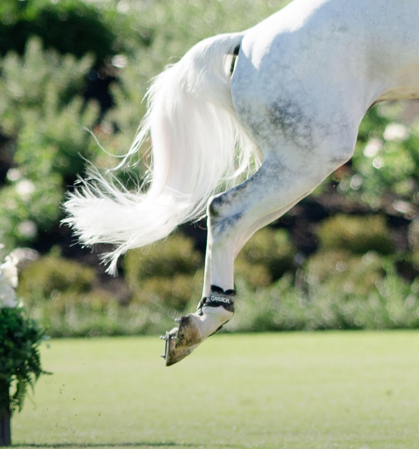 HorseGrooms MeetUp: Lucky Braids