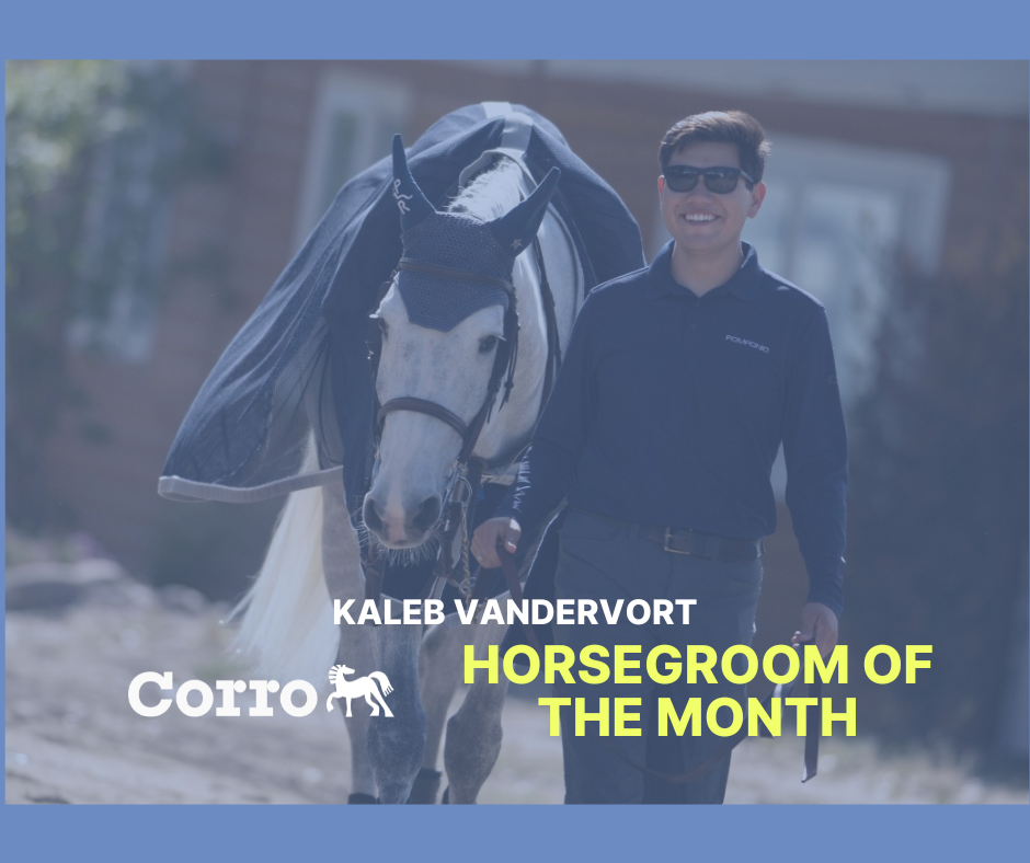 Corro Horsegroom of the month February