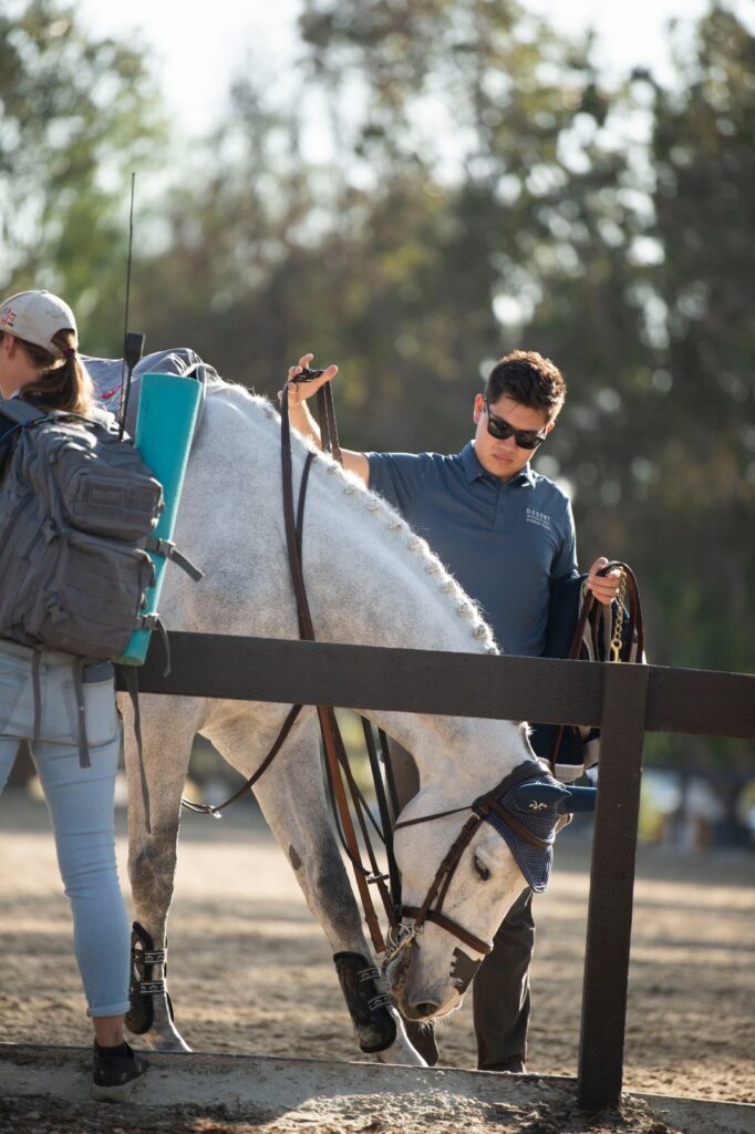 Corro Horsegroom of the month February