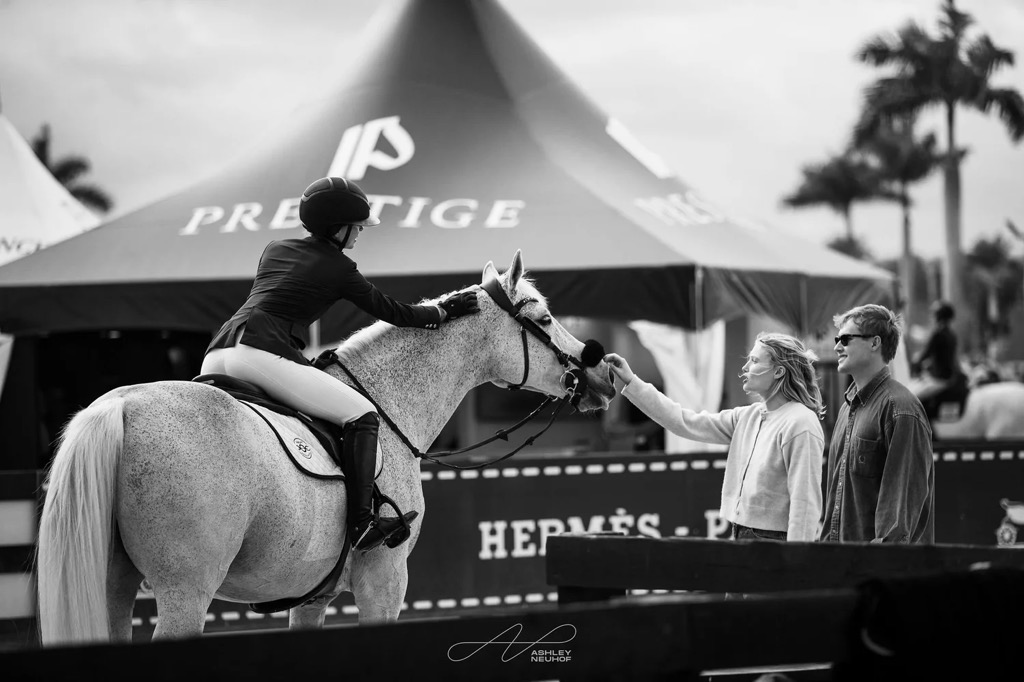 Equestrian Concierge