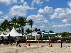 American Structure vs. Organized European Chaos in the Show Jumping Warm Up Arena