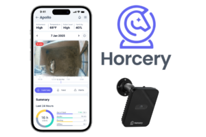 Horcery
